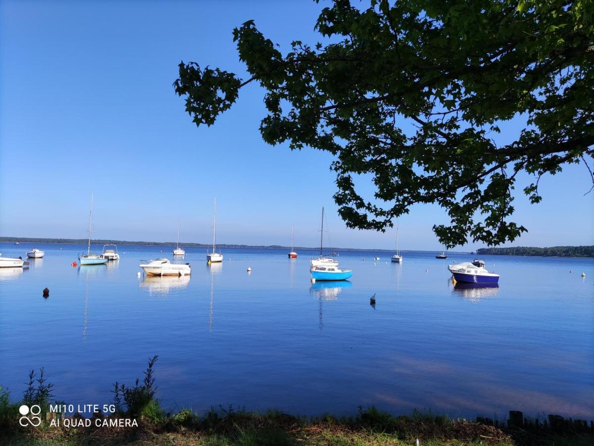 Lodge la tête dans les pins les pieds dans l eau Lacanau Extérieur photo