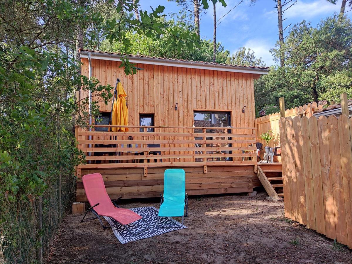 Lodge la tête dans les pins les pieds dans l eau Lacanau Extérieur photo